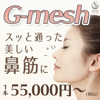 G-Mesh(Gメッシュ)