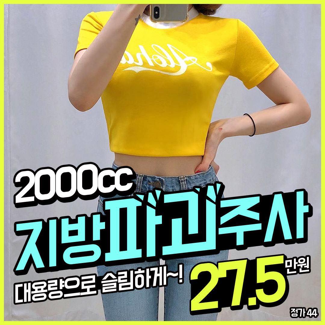 2부위&대용량 지방파괴주사