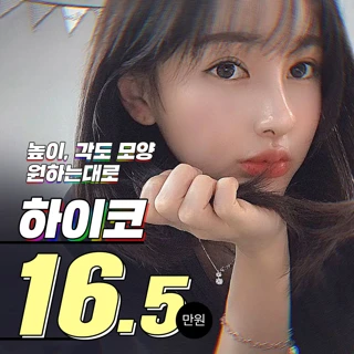 라미체 하이코