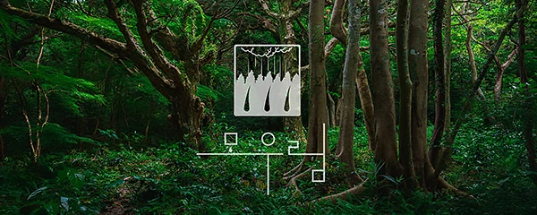 모우림의원