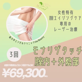 モナリザタッチ｜膣内＋外陰部｜3回