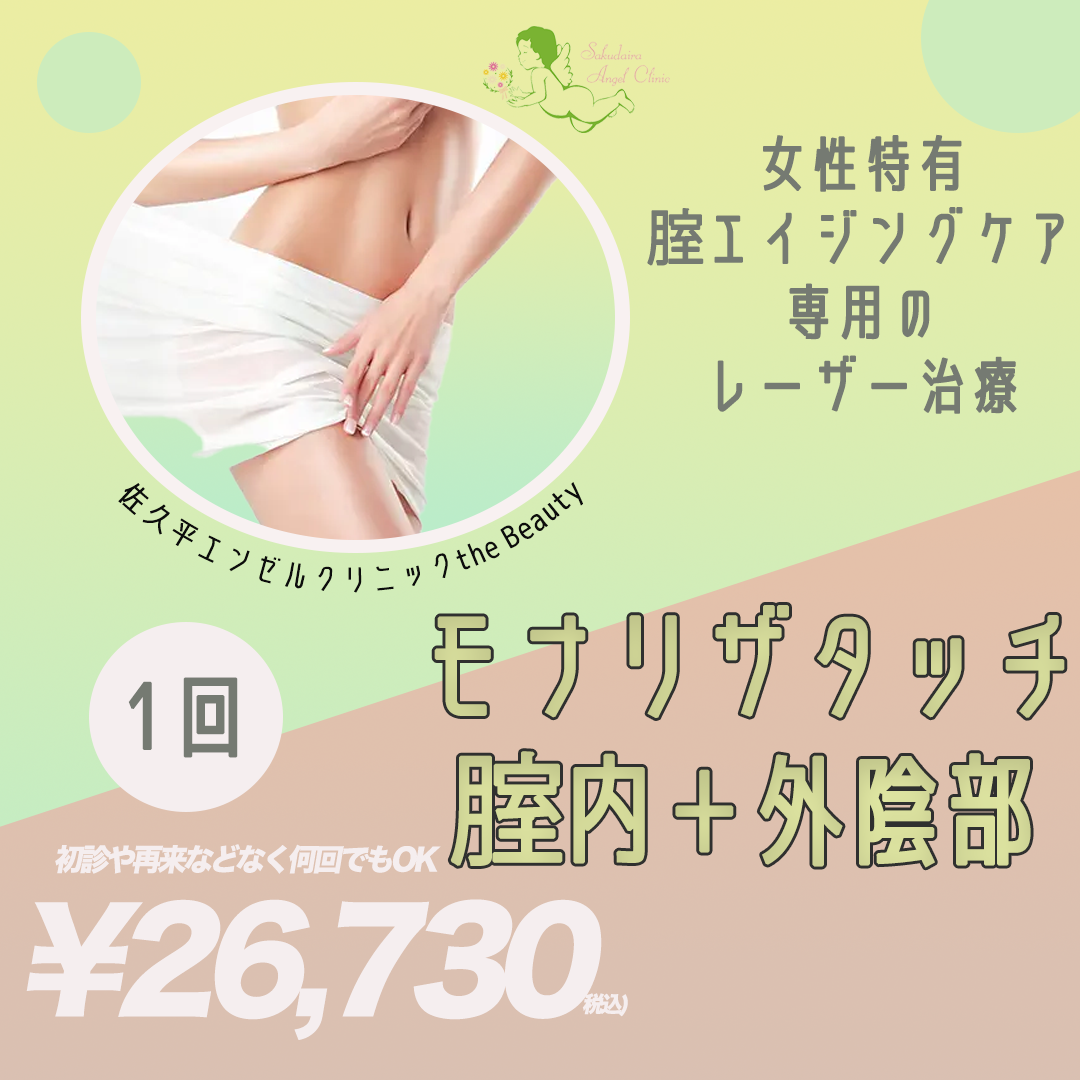 超音波美容機器　モナリザエクセル 超音波美容機器 モナリザエクセル （多機能美容器 ホームエステ）
