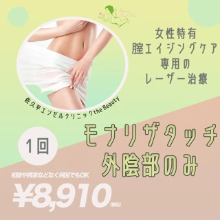 モナリザタッチ｜外陰部のみ