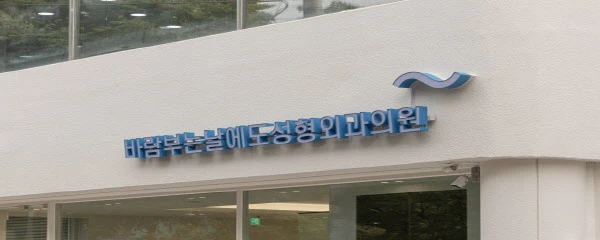 바람부는날에도 성형외과의원