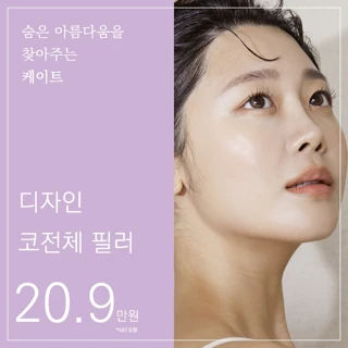 디자인 코전체 필러