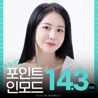 미테크 포인트 인모드