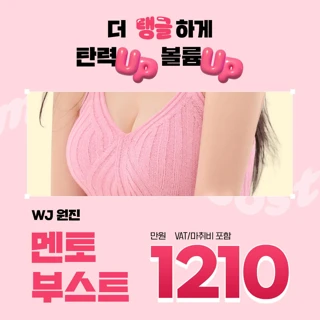 원진 멘토 부스트