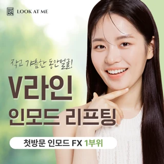 V라인 인모드 리프팅