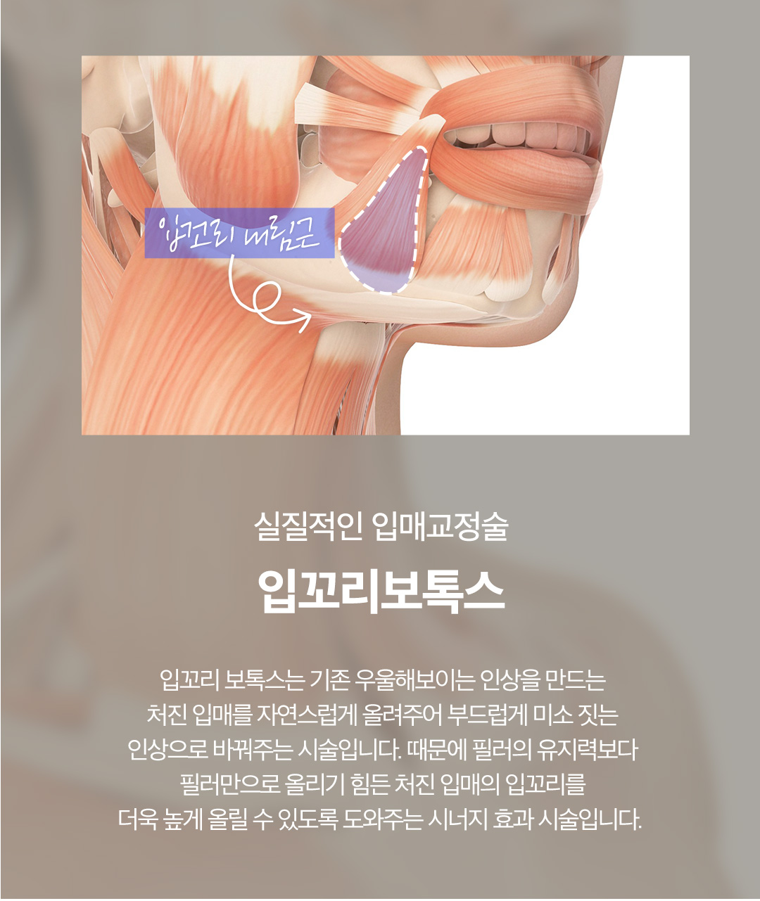 입술필러엔 입꼬리필러&입꼬리보톡스로 사랑스러운 매력입매 만드는 시술
-입술볼륨크기, 입꼬리 처짐 정도, 얼굴 폭 밸런스 등을 파악하여 진행
-긴인중, 아치형윗입술, 우울한 인상 등 까다로운 케이스도 보완 가능
-1차, 2차 시술로 입술 볼륨 확장 후 인중선과 각도 계산