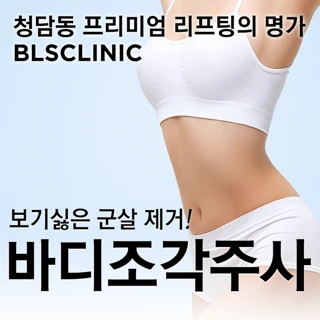 바디조각주사