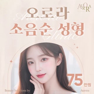 오로라 소음순성형