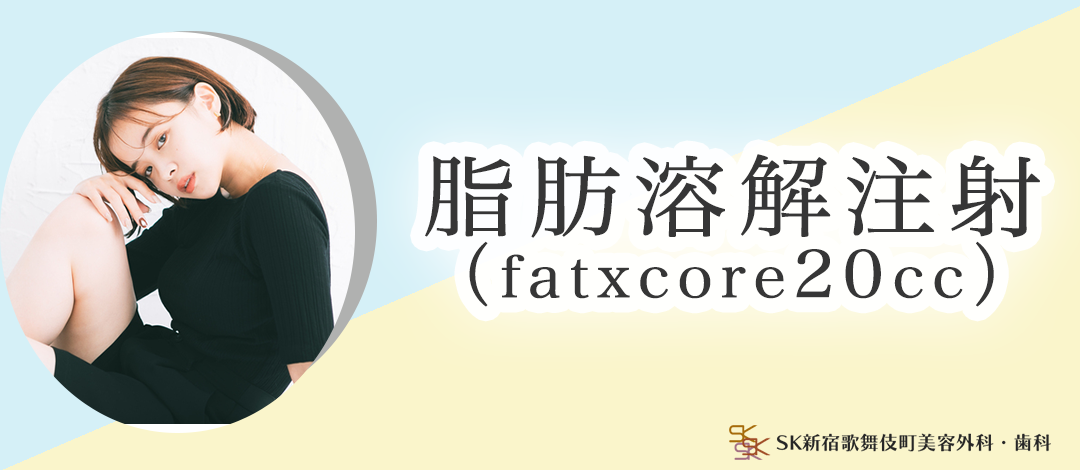 初診・モニター限定】脂肪溶解注射（fat x core）｜20cc | SK