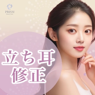 立ち耳修正