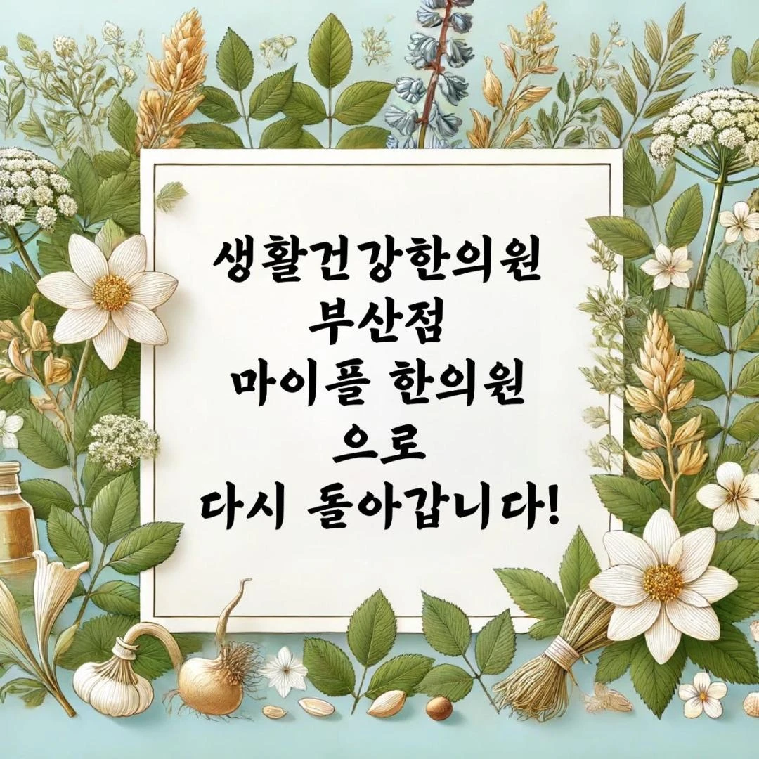 마이플한의원