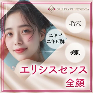 次世代ポテンツァ！エリシスセンス（全顔）リジュランジュベルック追加可能