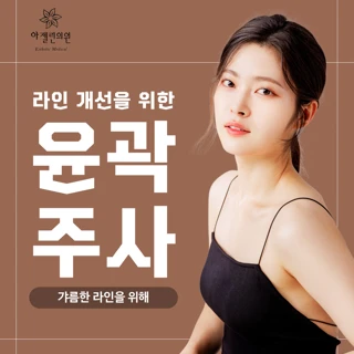 라인 개선을 위한 조각 주사 &윤곽주사
