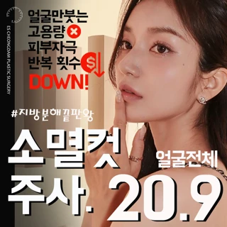소멸컷주사_반복횟수DOWN & 수면가능 ES.지방분해끝판왕