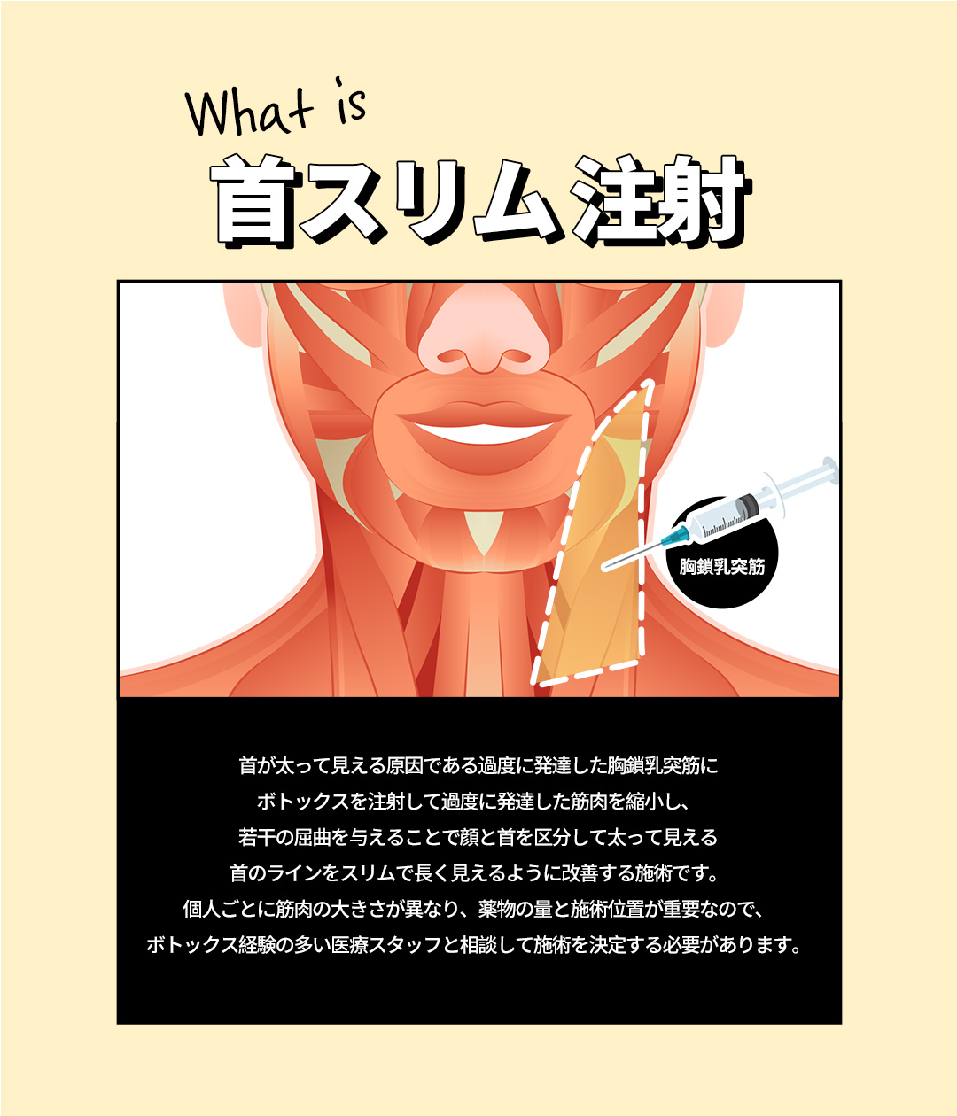 ボトックスで過度に発達した筋肉を整えて
スリムなラインだけを残そう
-純正・定量のみを施術し、過度な施術は×
-個人の骨格、筋肉量に合わせた施術で効果と満足度UP