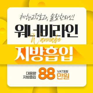 워너비라인 대용량 지방흡입