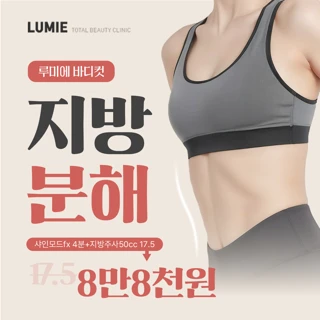 루미에 바디컷 지방 분해