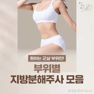 바디 부위별 지방분해주사 팔뚝 복부 올피채 강서