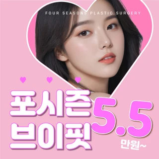 포시즌 브이라인 브이핏주사