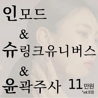브이핏 인모드 유니버스