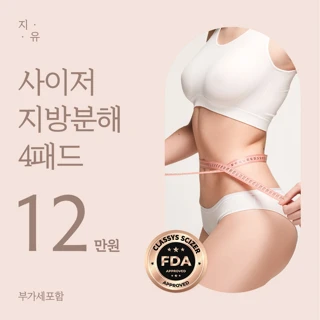사이저 복부 지방분해 레이저