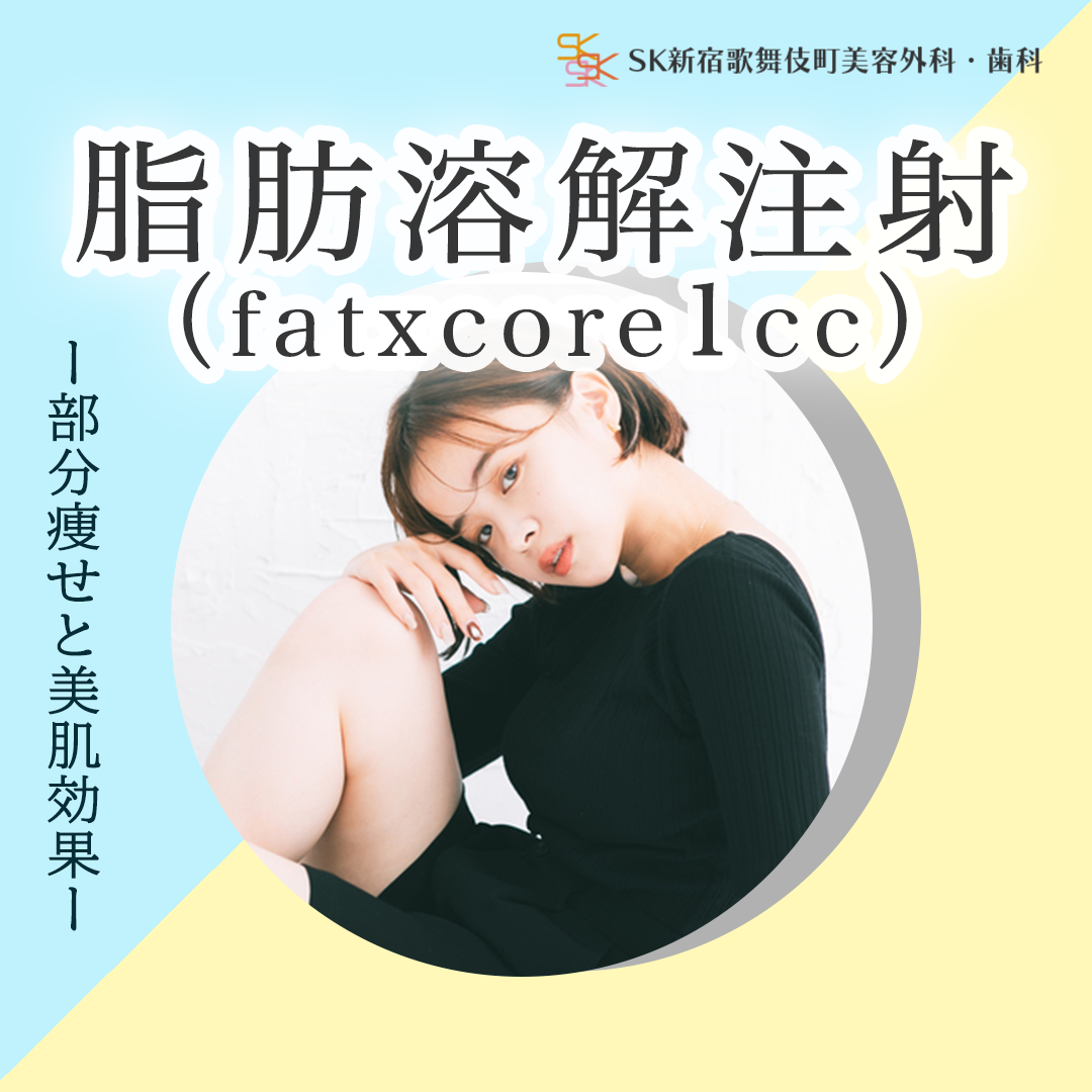 初回・モニター】脂肪溶解注射（fat x core）｜1cc | SK新宿歌舞伎町