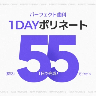 1日で完成. 削らないラミネートベニア. 1DAYポリネート
