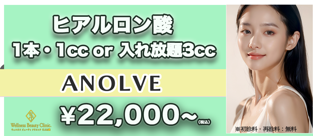 韓国製ヒアルロン酸注射｜ANOLVE（アノルブ）｜1cc 又は 入れ放題3