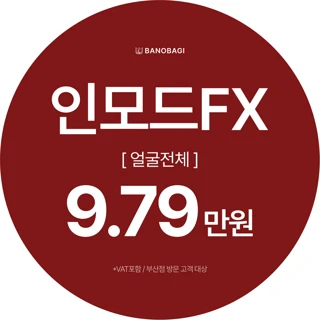 인모드FX 얼굴전체