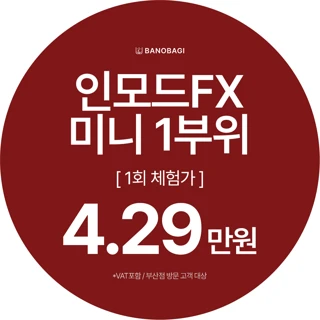 인모드 미니 FX모드 1부위