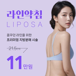 라인약침, 리포사