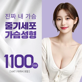 정통 줄기세포 가슴성형