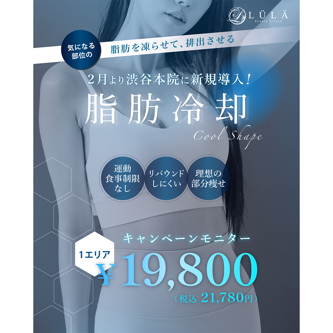 いまだけキャンペーン！冷却脂肪冷却 2ハンドル
