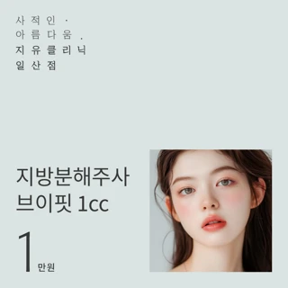 얼굴지방분해주사 브이핏주사 1cc