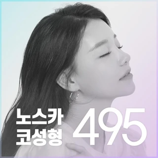 비개방 노스카코성형
