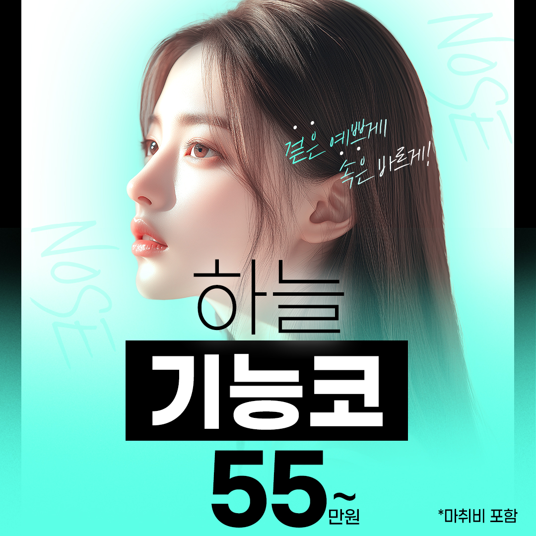 하늘 기능코성형