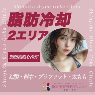 【8月限定】脂肪冷却フリオ 2エリア(腹部、背中、大腿部、腰、二の腕) ダイエットのお手伝い