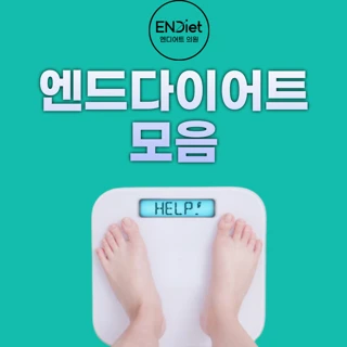 엔드다이어트모음