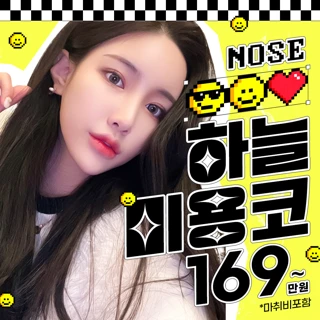 하늘 미용코성형