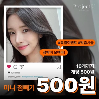 미니 점빼기