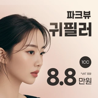 파크뷰 디자인 귀필러