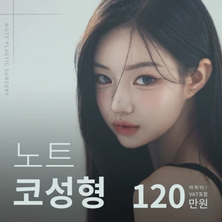 노트 코성형