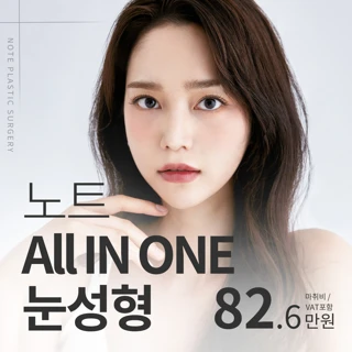 노트 올인원 눈성형