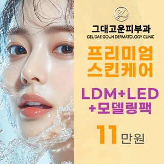 프리미엄 스킨케어 LDM, LED, 모델링팩