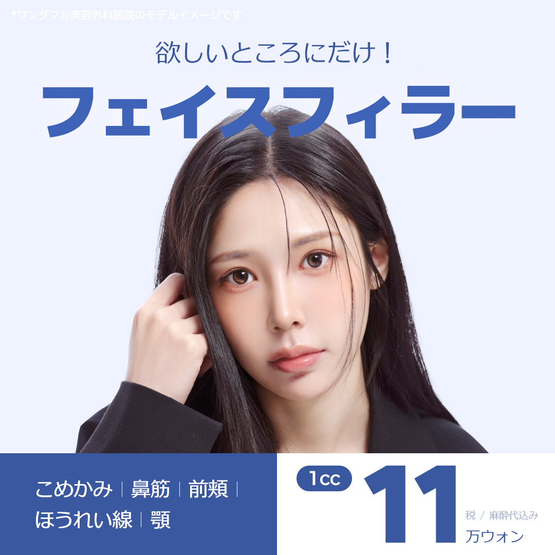 フェイスフィラー