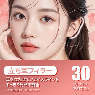 立ち耳フィラー