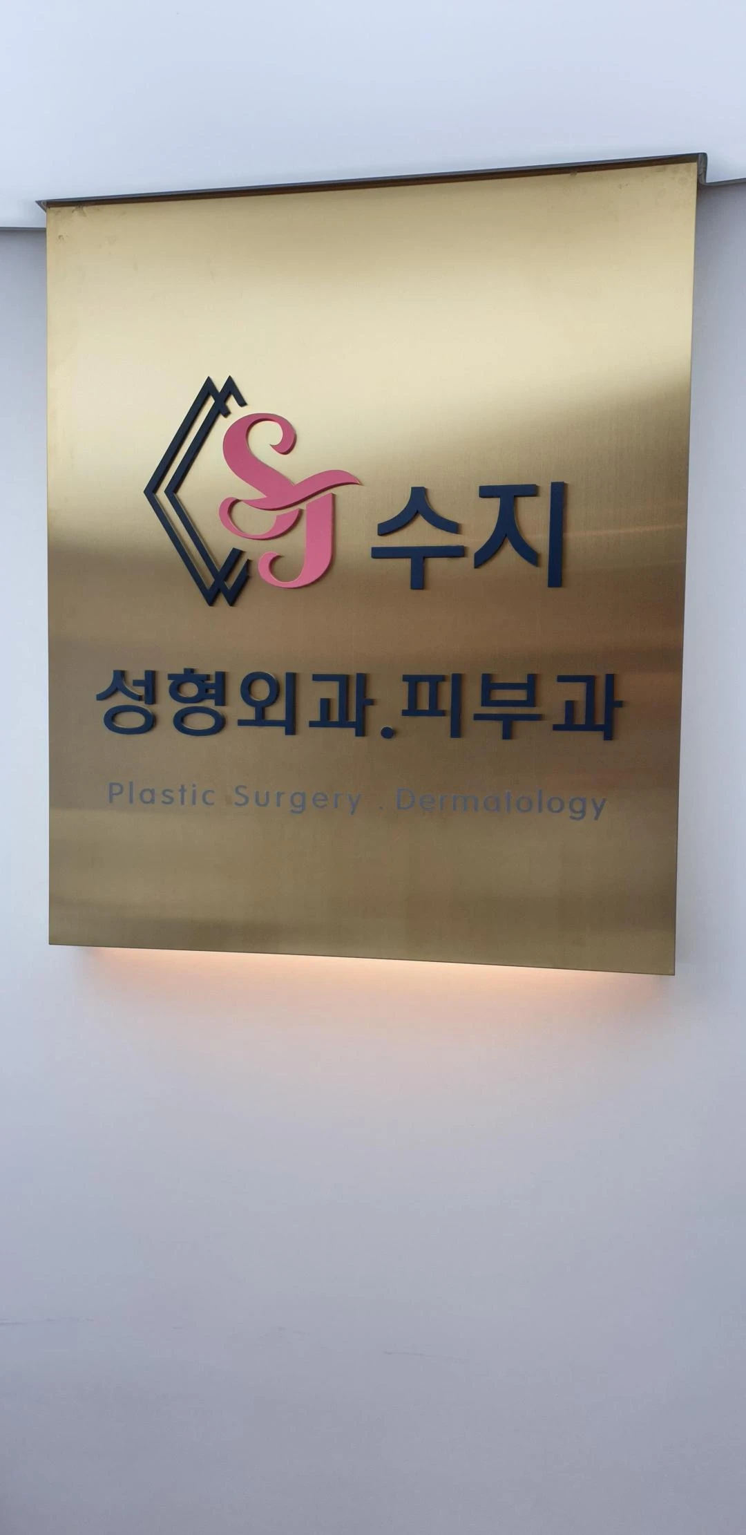 수지의원